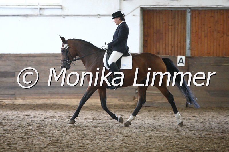 009M3322_Whisberi_Dressur A.JPG